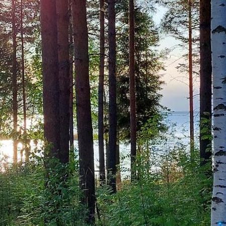 Pulla Karvisen Maatilamatkailussa Ruokola Dış mekan fotoğraf
